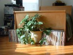 record&plants